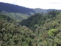 Imagen Cascadas de San Antonio